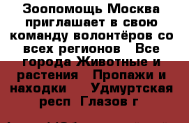 Зоопомощь.Москва приглашает в свою команду волонтёров со всех регионов - Все города Животные и растения » Пропажи и находки   . Удмуртская респ.,Глазов г.